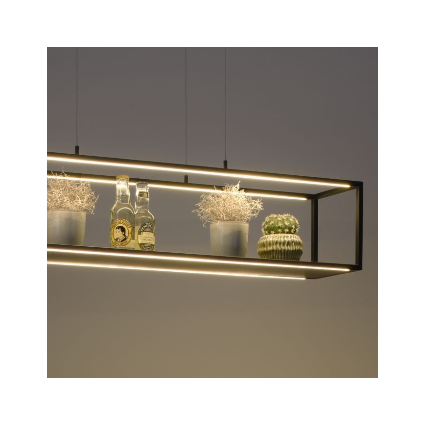 Paul Neuhaus 2441-18 - Suspension filaire à intensité variable CONTURA 4xLED/8W/230V