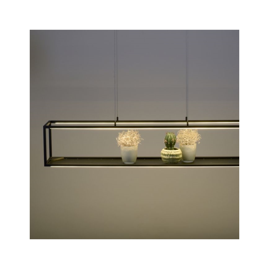 Paul Neuhaus 2441-18 - Suspension filaire à intensité variable CONTURA 4xLED/8W/230V