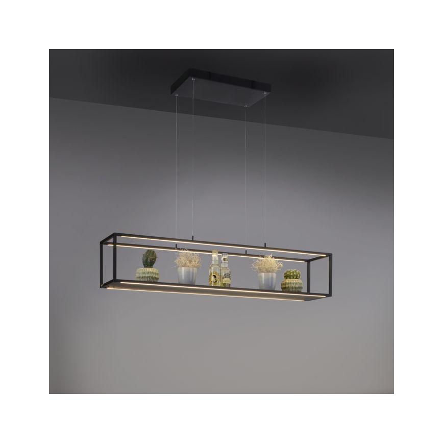 Paul Neuhaus 2441-18 - Suspension filaire à intensité variable CONTURA 4xLED/8W/230V