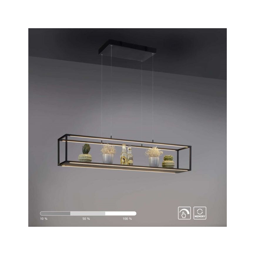 Paul Neuhaus 2441-18 - Suspension filaire à intensité variable CONTURA 4xLED/8W/230V