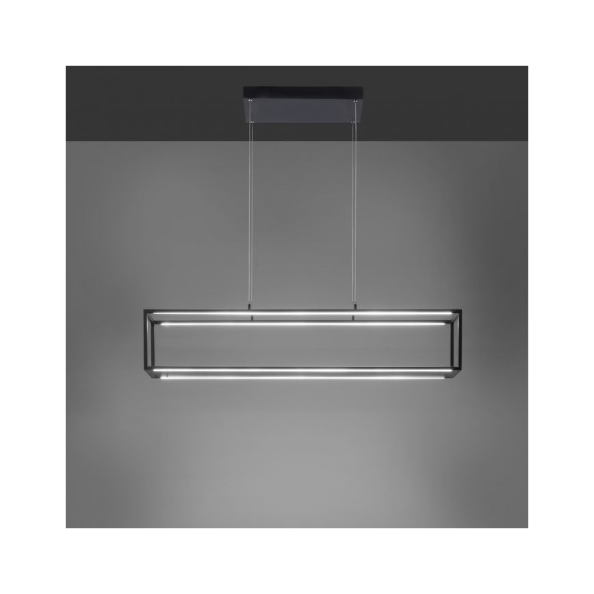 Paul Neuhaus 2441-18 - Suspension filaire à intensité variable CONTURA 4xLED/8W/230V