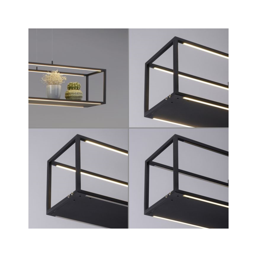 Paul Neuhaus 2441-18 - Suspension filaire à intensité variable CONTURA 4xLED/8W/230V