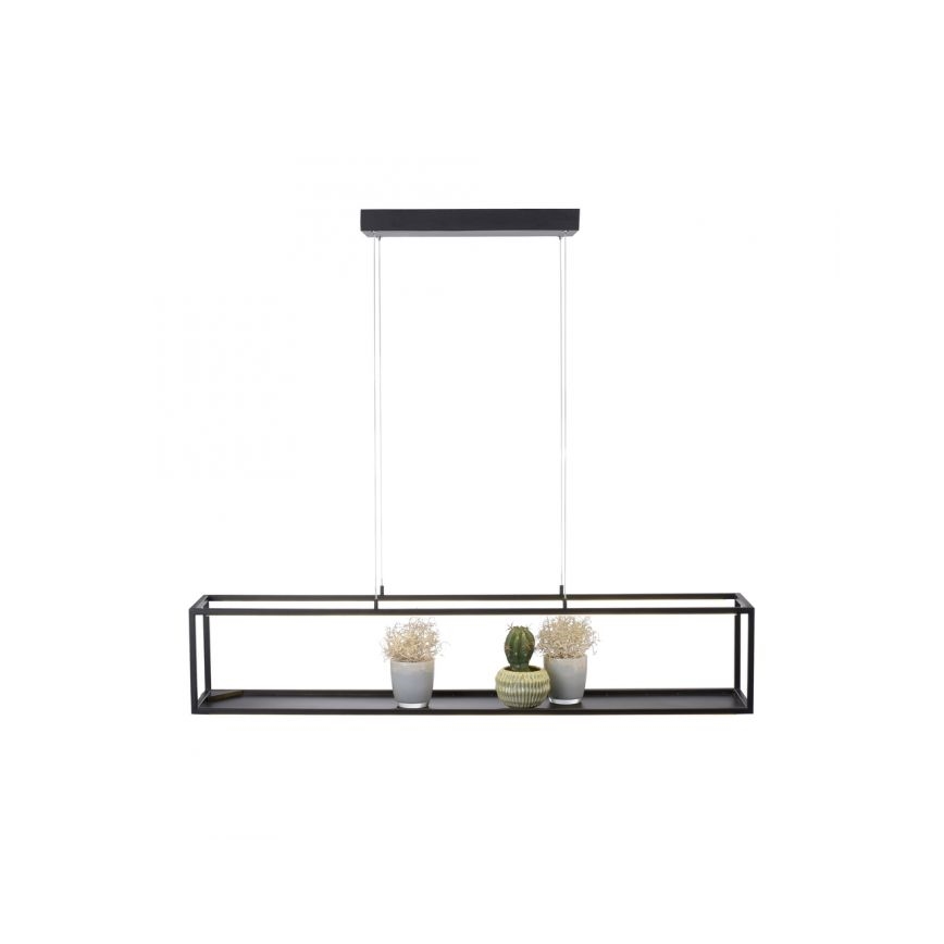 Paul Neuhaus 2441-18 - Suspension filaire à intensité variable CONTURA 4xLED/8W/230V