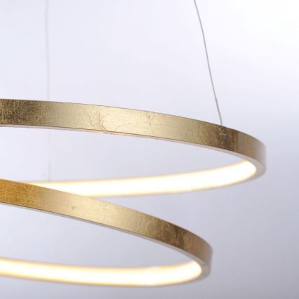 Paul Neuhaus 2472-12 - Suspension filaire LED à intensité variable ROMAN LED/30W/230V dorée