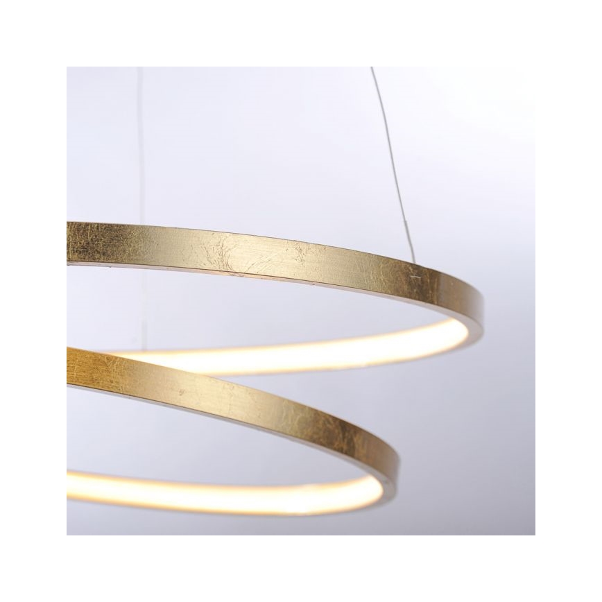 Paul Neuhaus 2472-12 - Suspension filaire LED à intensité variable ROMAN LED/30W/230V dorée