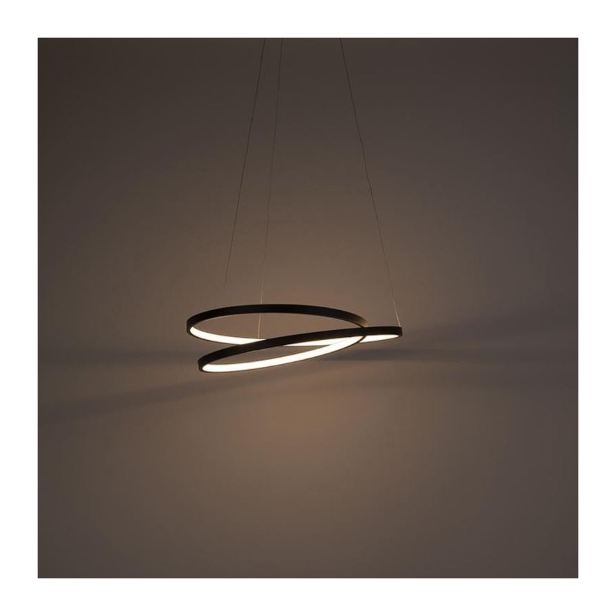 Paul Neuhaus 2472-18 - Lampadario LED dimmerabile su filo ROMAN LED/30W/230V nero