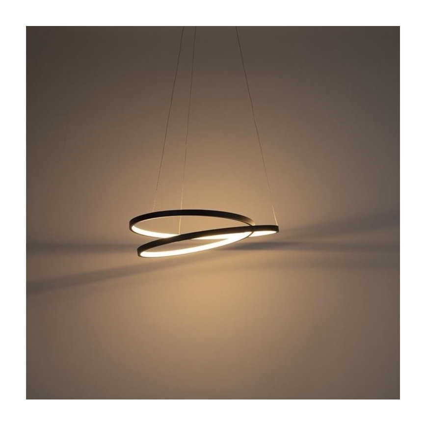 Paul Neuhaus 2472-18 - Lampadario LED dimmerabile su filo ROMAN LED/30W/230V nero