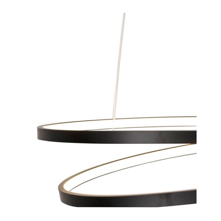 Paul Neuhaus 2472-18 - Lampadario LED dimmerabile su filo ROMAN LED/30W/230V nero