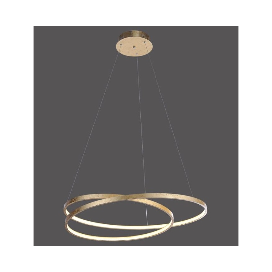 Paul Neuhaus 2474-12 - Lampadario LED dimmerabile su filo ROMAN LED/40W/230V dorato