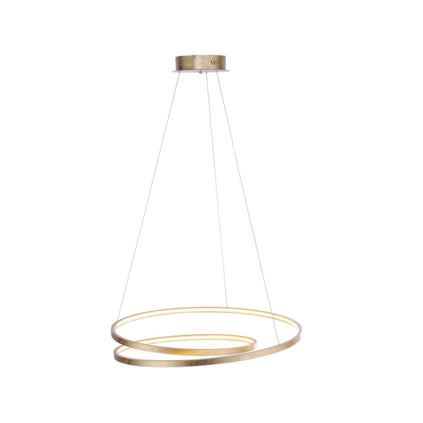 Paul Neuhaus 2474-12 - Suspension filaire LED à intensité variable ROMAN LED/40W/230V doré