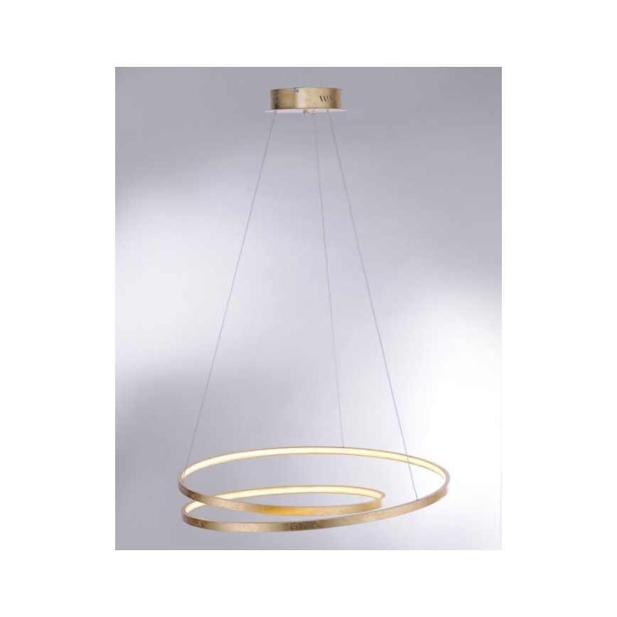 Paul Neuhaus 2474-12 - Suspension filaire LED à intensité variable ROMAN LED/40W/230V doré