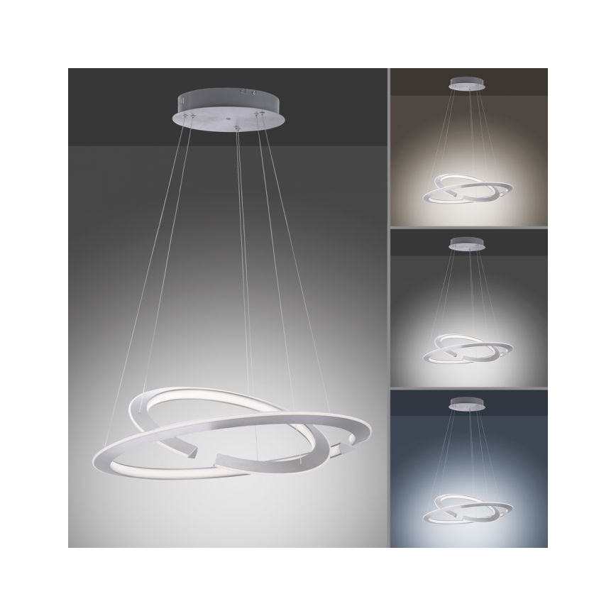 Paul Neuhaus 2491-55 - Lampadario LED dimmerabile su cavo ALESSA 2xLED/26W/230V con telecomando