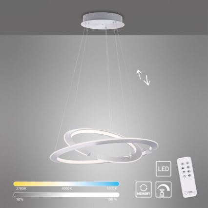 Paul Neuhaus 2491-55 - Lampadario LED dimmerabile su cavo ALESSA 2xLED/26W/230V con telecomando
