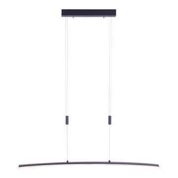 Paul Neuhaus 2530-13 - Suspension filaire à intensité variable JANINA LED/27W/230V