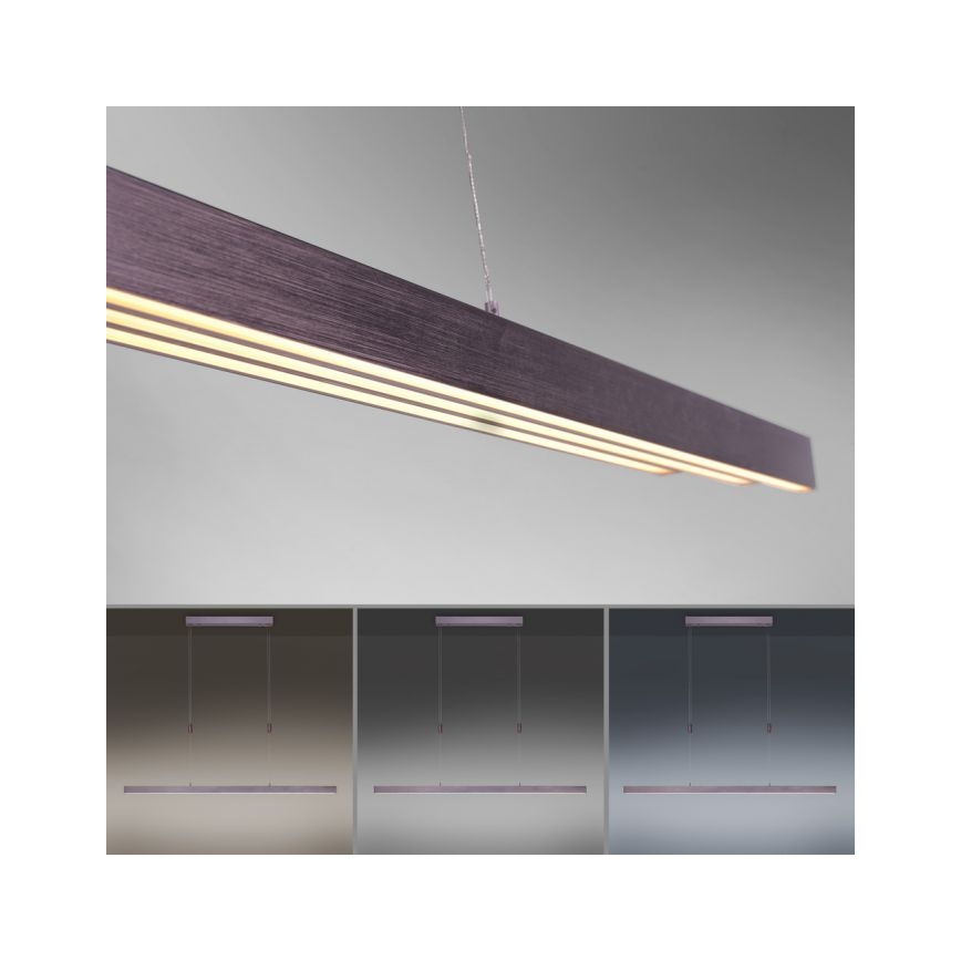 Paul Neuhaus 2568-24 - Dimmbare LED-Hängeleuchte an Schnur ADRIANA LED/14W/230V 2700-5000K
