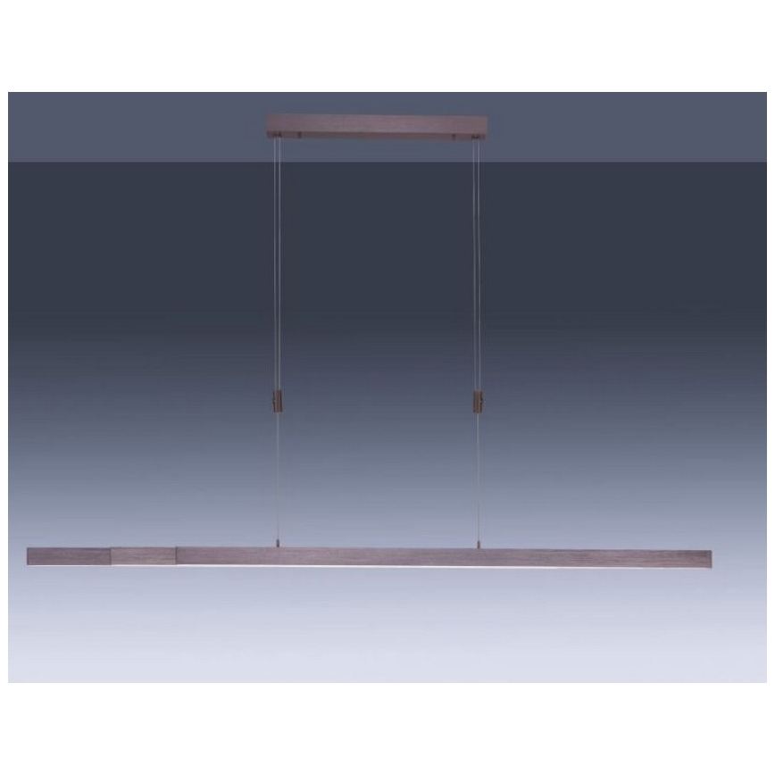 Paul Neuhaus 2568-24 - Lampadario a sospensione con filo LED dimmerabile ADRIANA LED/14W/230V 2700-5000K