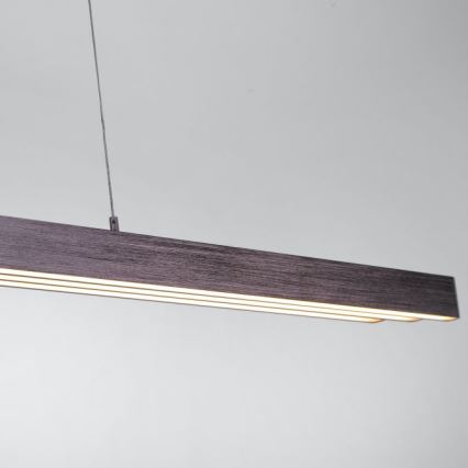 Paul Neuhaus 2568-24 - Lampadario a sospensione con filo LED dimmerabile ADRIANA LED/14W/230V 2700-5000K