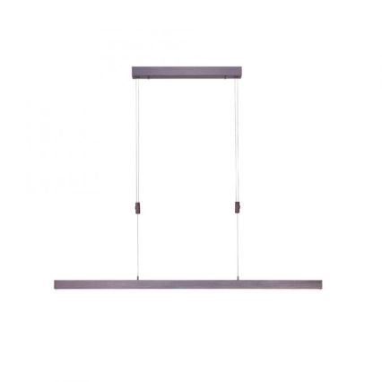 Paul Neuhaus 2568-24 - Lampadario a sospensione con filo LED dimmerabile ADRIANA LED/14W/230V 2700-5000K