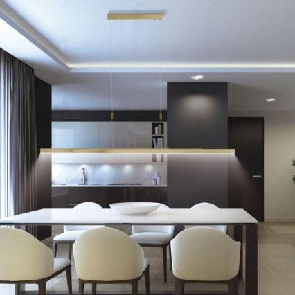 Paul Neuhaus 2568-60 - Lampadario a sospensione con filo LED dimmerabile ADRIANA LED/14W/230V  2700-5000K ottone