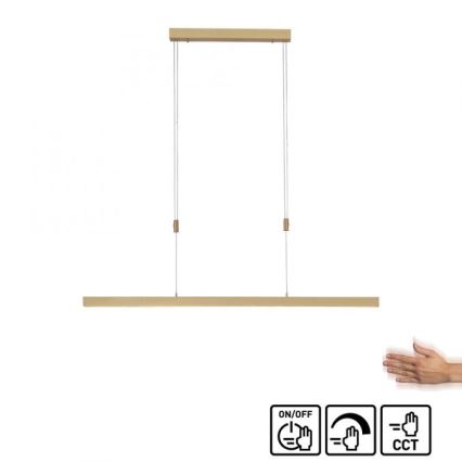 Paul Neuhaus 2568-60 - Lampadario a sospensione con filo LED dimmerabile ADRIANA LED/14W/230V  2700-5000K ottone