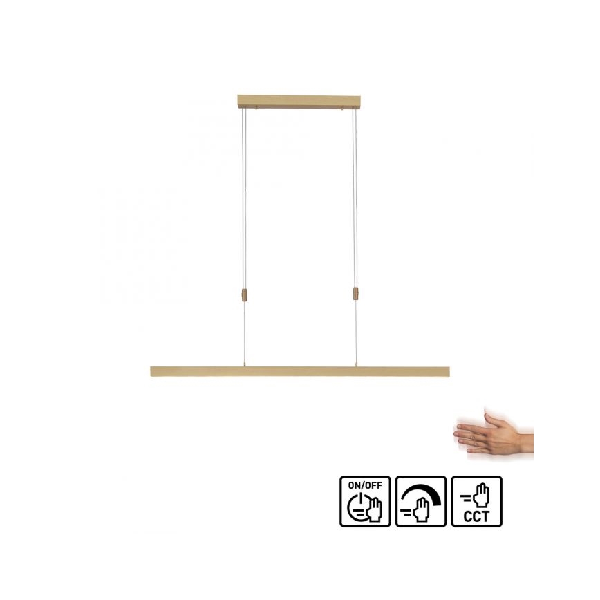 Paul Neuhaus 2568-60 - Lampadario a sospensione con filo LED dimmerabile ADRIANA LED/14W/230V  2700-5000K ottone
