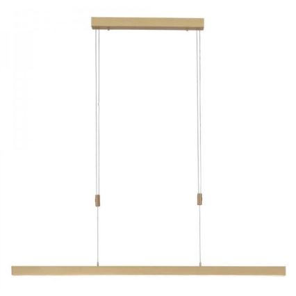 Paul Neuhaus 2568-60 - Lampadario a sospensione con filo LED dimmerabile ADRIANA LED/14W/230V  2700-5000K ottone