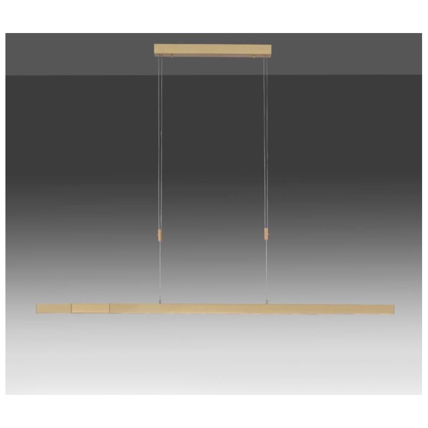 Paul Neuhaus 2568-60 - Suspension filaire à intensité variable ADRIANA LED/14W/230V  2700-5000K laiton