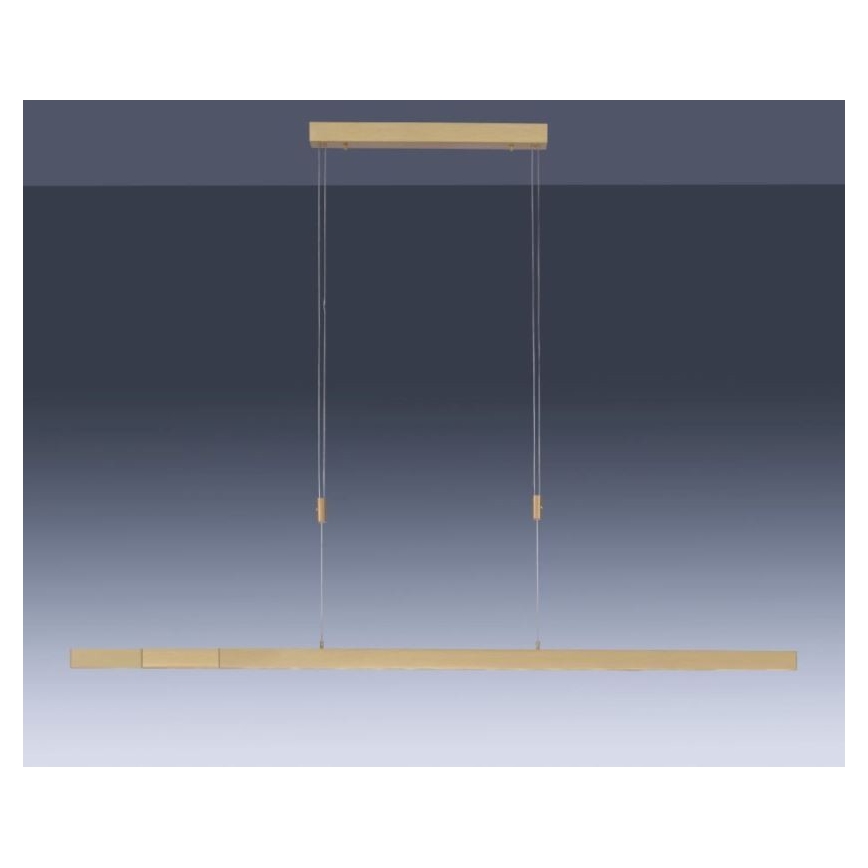 Paul Neuhaus 2568-60 - Suspension filaire à intensité variable ADRIANA LED/14W/230V  2700-5000K laiton