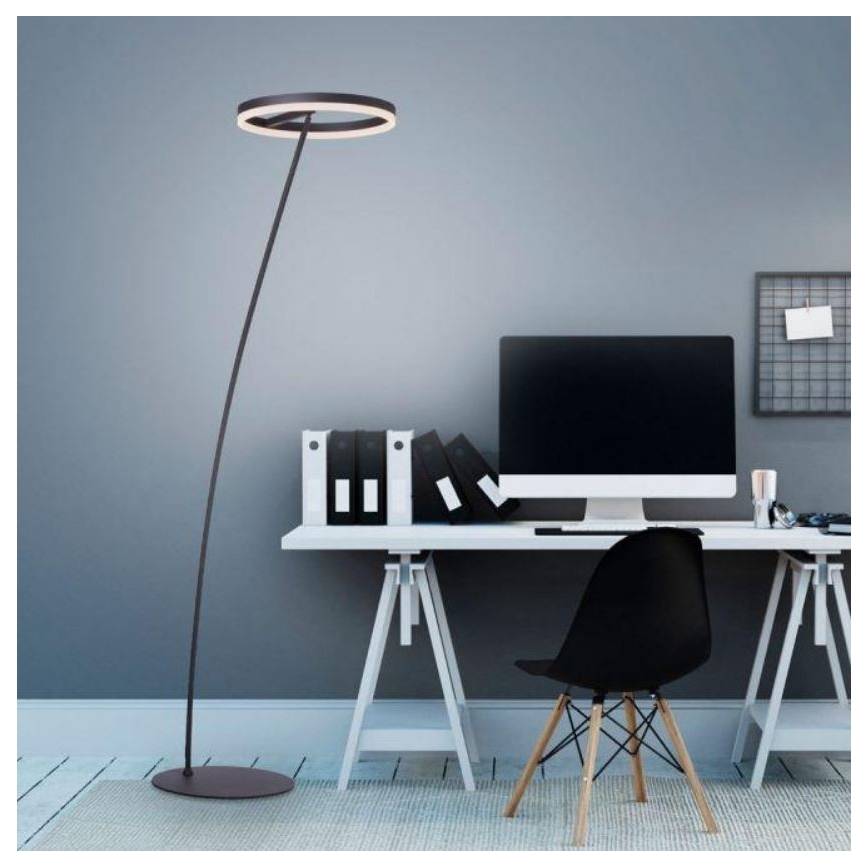 Paul Neuhaus 381-13 - Lampada da terra LED dimmerabile TITUS LED/19,5W/230V