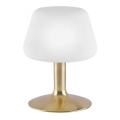 Paul Neuhaus 4078-60 - Dimmbare LED-Tischleuchte mit Touch-Funktion TILL 1xG9/3W/230V Messing