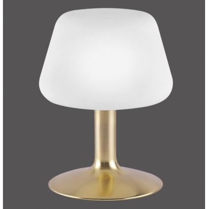 Paul Neuhaus 4078-60 - Dimmbare LED-Tischleuchte mit Touch-Funktion TILL 1xG9/3W/230V Messing