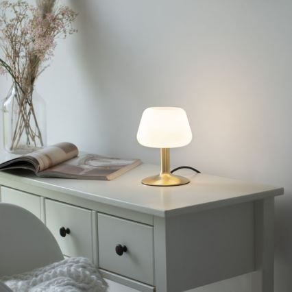 Paul Neuhaus 4078-60 - Lampe de table tactile à intensité variable TILL 1xG9/3W/230V laiton