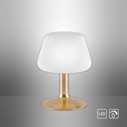 Paul Neuhaus 4078-60 - Lampe de table tactile à intensité variable TILL 1xG9/3W/230V laiton