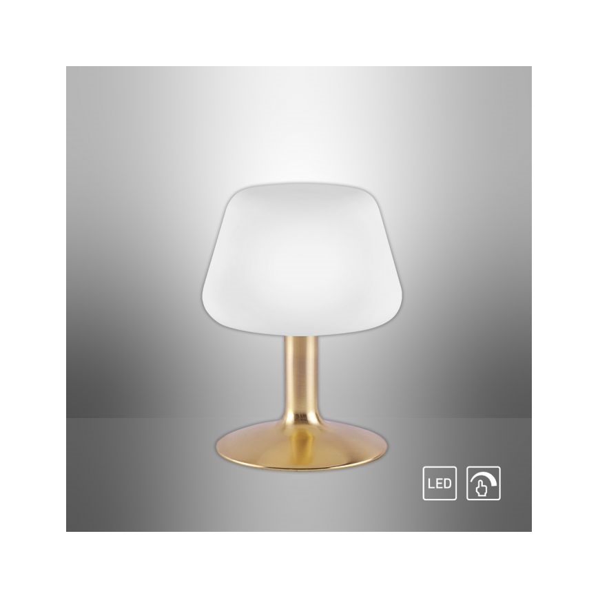 Paul Neuhaus 4078-60 - Lampe de table tactile à intensité variable TILL 1xG9/3W/230V laiton