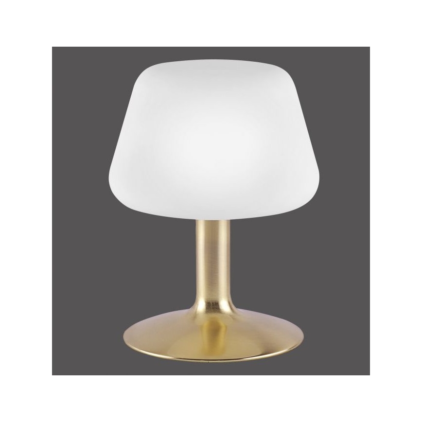 Paul Neuhaus 4078-60 - Lampe de table tactile à intensité variable TILL 1xG9/3W/230V laiton