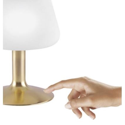 Paul Neuhaus 4078-60 - Lampe de table tactile à intensité variable TILL 1xG9/3W/230V laiton