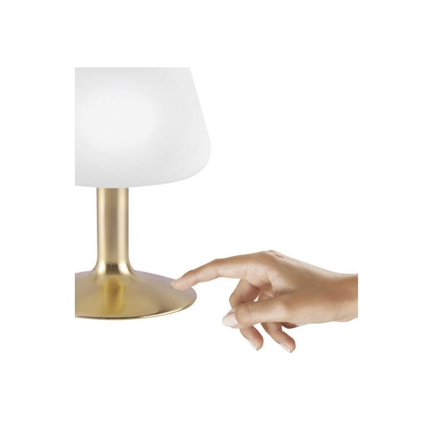 Paul Neuhaus 4078-60 - Lampe de table tactile à intensité variable TILL 1xG9/3W/230V laiton