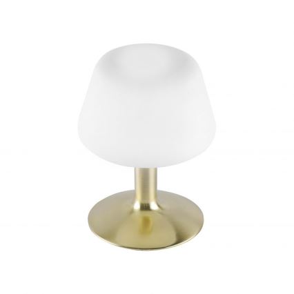 Paul Neuhaus 4078-60 - Lampe de table tactile à intensité variable TILL 1xG9/3W/230V laiton