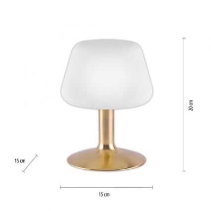 Paul Neuhaus 4078-60 - Lampe de table tactile à intensité variable TILL 1xG9/3W/230V laiton