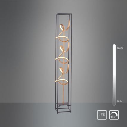 Paul Neuhaus 415-18 - Lampadaire dimmable LED SELINA 3xLED/10,2W/230V