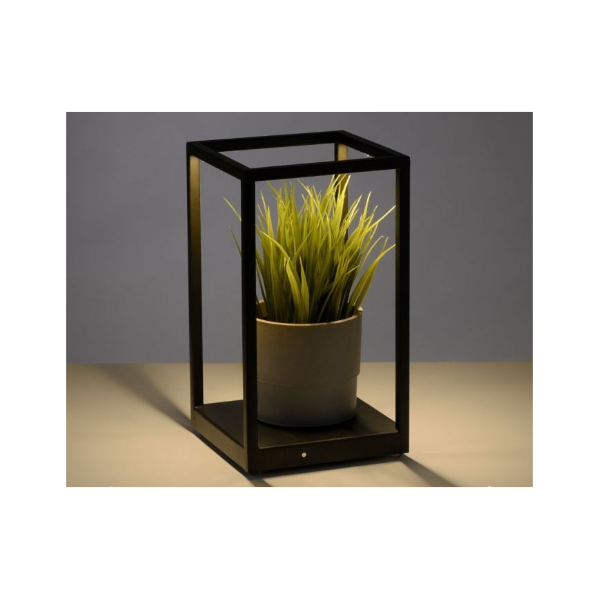 Paul Neuhaus 4401-18 - LED dimmbare Tischleuchte CONTURA 2xLED/2,2W/230V