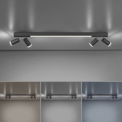 Paul Neuhaus 6121-13 - Faretto LED dimmerabile PURE 4xLED/4W/230V + LED/9W 2700-5000K + telecomando