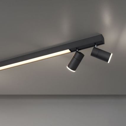 Paul Neuhaus 6121-13 - Spot à intensité variable PURE 4xLED/4W/230V + LED/9W 2700-5000K + télécommande