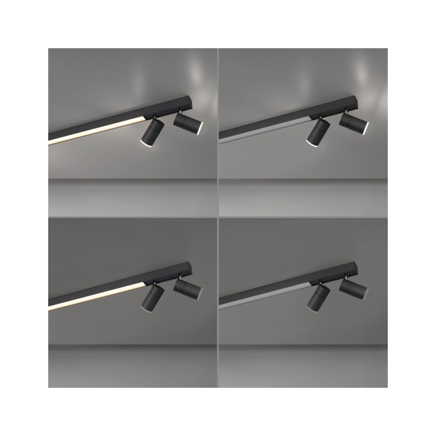 Paul Neuhaus 6121-13 - Spot à intensité variable PURE 4xLED/4W/230V + LED/9W 2700-5000K + télécommande