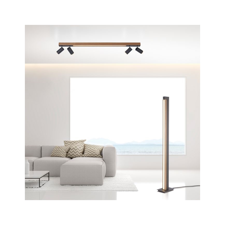 Paul Neuhaus 6121-79 - Spot à intensité variable LED PURE 4xLED/4W/230V + LED/9W 2700-5000K + télécommande
