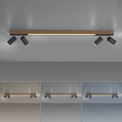Paul Neuhaus 6121-79 - Spot à intensité variable LED PURE 4xLED/4W/230V + LED/9W 2700-5000K + télécommande