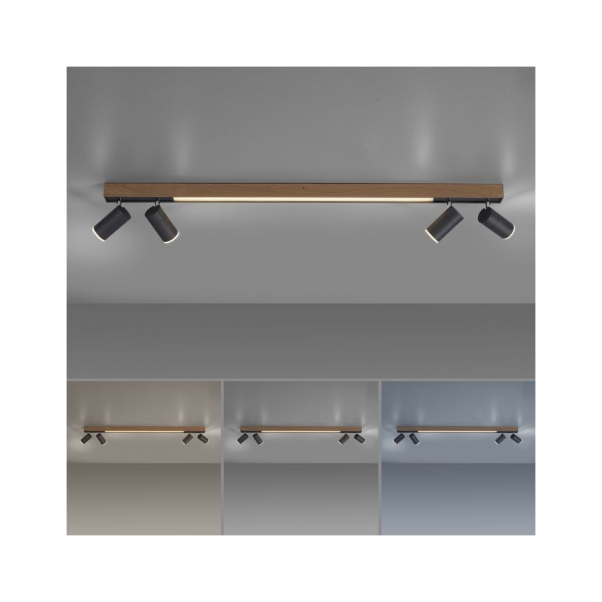 Paul Neuhaus 6121-79 - Spot à intensité variable LED PURE 4xLED/4W/230V + LED/9W 2700-5000K + télécommande