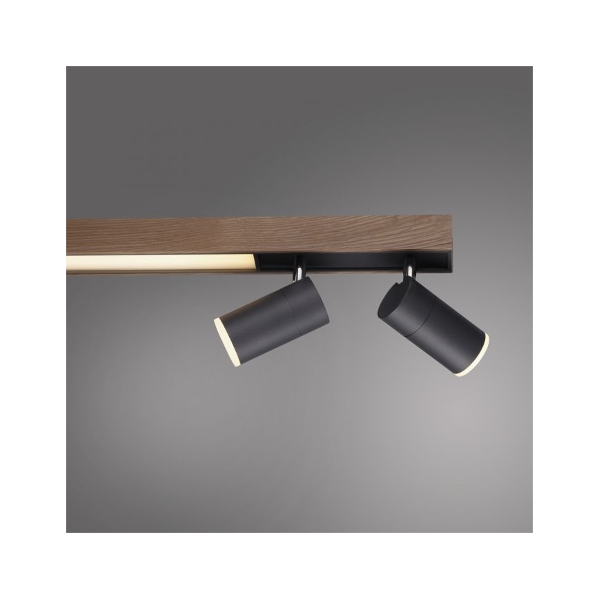 Paul Neuhaus 6121-79 - Spot à intensité variable LED PURE 4xLED/4W/230V + LED/9W 2700-5000K + télécommande