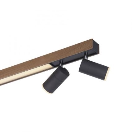 Paul Neuhaus 6121-79 - Spot à intensité variable LED PURE 4xLED/4W/230V + LED/9W 2700-5000K + télécommande