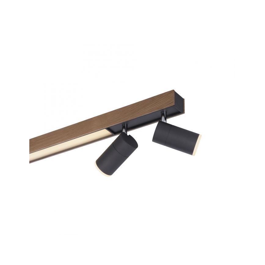 Paul Neuhaus 6121-79 - Spot à intensité variable LED PURE 4xLED/4W/230V + LED/9W 2700-5000K + télécommande